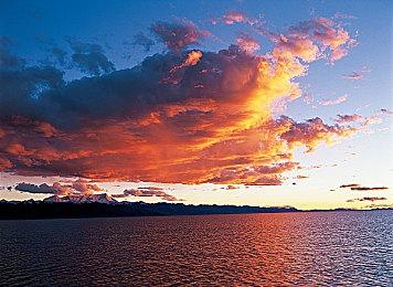 《宣誓》Steam标签将LGBTQ+放在首要位置